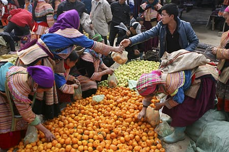 VIETNAM NORTHEAST CYCLING TOUR