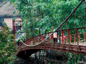 SAPA HOMESTAY TREKKING TOUR TO TAM DUONG, BAN HO, BINH LU