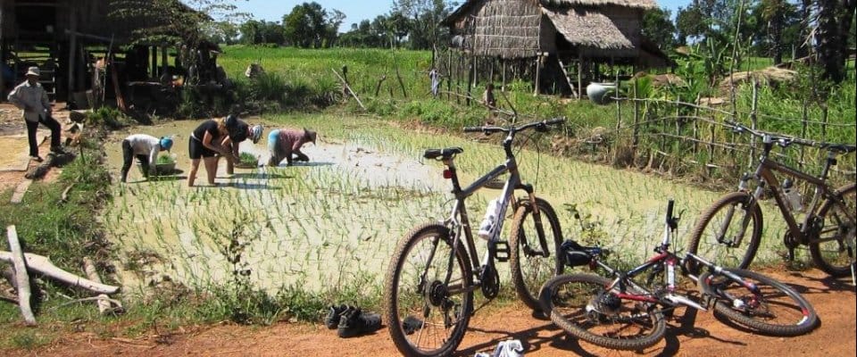 MEKONG CYCLING TOUR FOR LANDSCAPES
