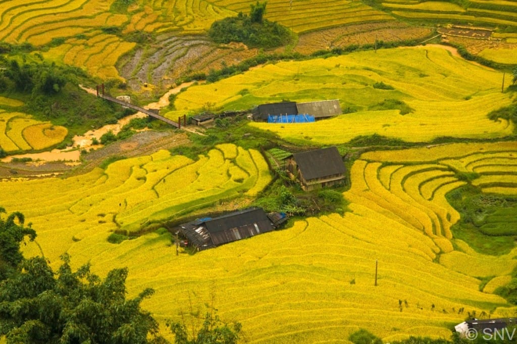 VIETNAM NORTH-WEST MOUNTAIN CYCLING TOUR