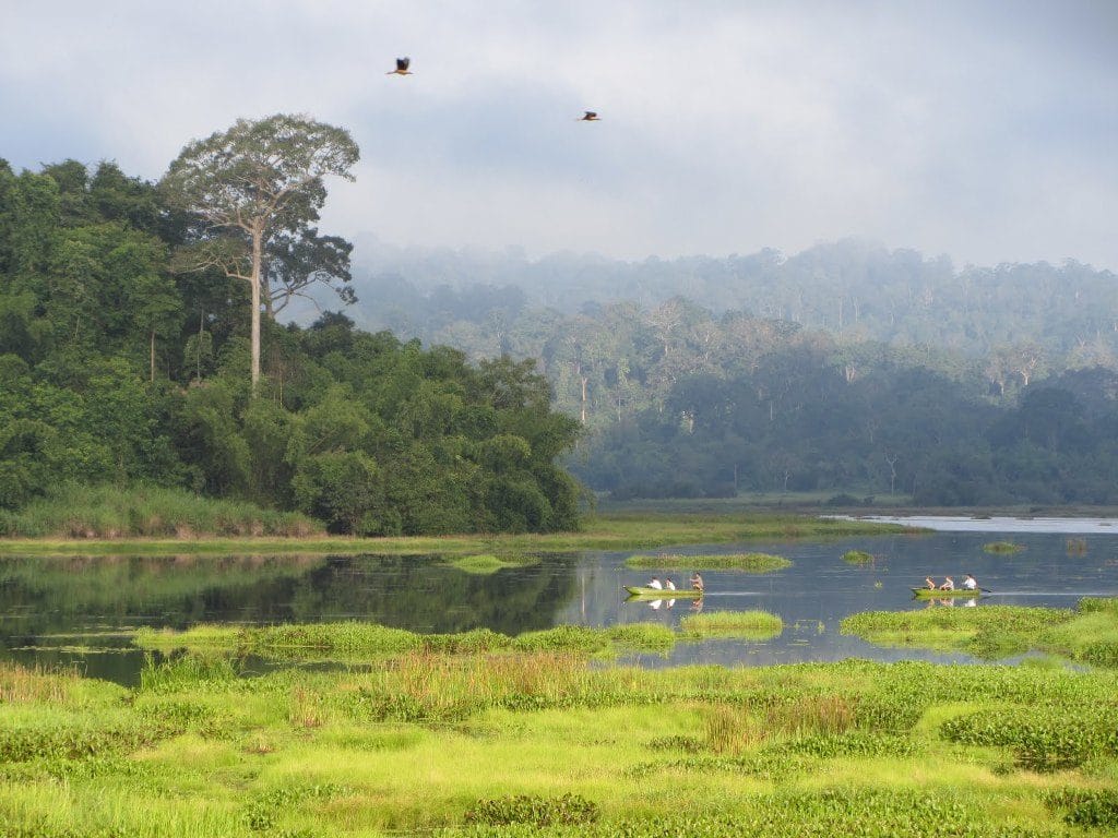 TREKKING TOUR IN NAM CAT TIEN NATIONAL PARK