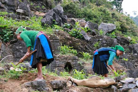 HANOI ADVENTURE TOUR VIA MOC CHAU TO HA GIANG