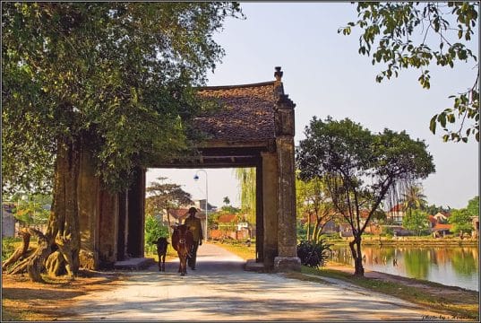 Hanoi day tour to Duong Lam village - Vietnam set departure tours