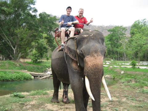 Laos tours for elephant riding & cruising - Laos adventure tours