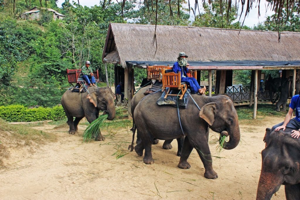 LUANG PRABANG FAMILY HOLIDAY OF ELEPHANT RIDING