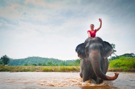 Luang Prabang package tour with elephant - Laos elephant riding tours