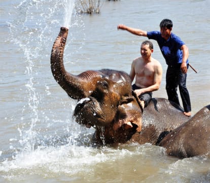 Luang Prabang Tours of Elephant Riding, Biking and Kayaking - Laos elephant riding tours