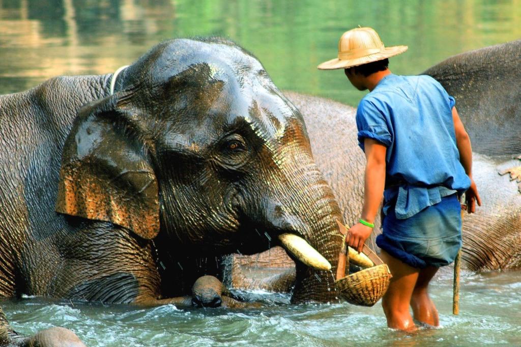 UNVEILED RIVER OF KWAI