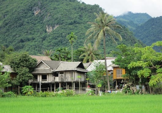 TREKKING TOUR IN PU LUONG NATURE RESERVE