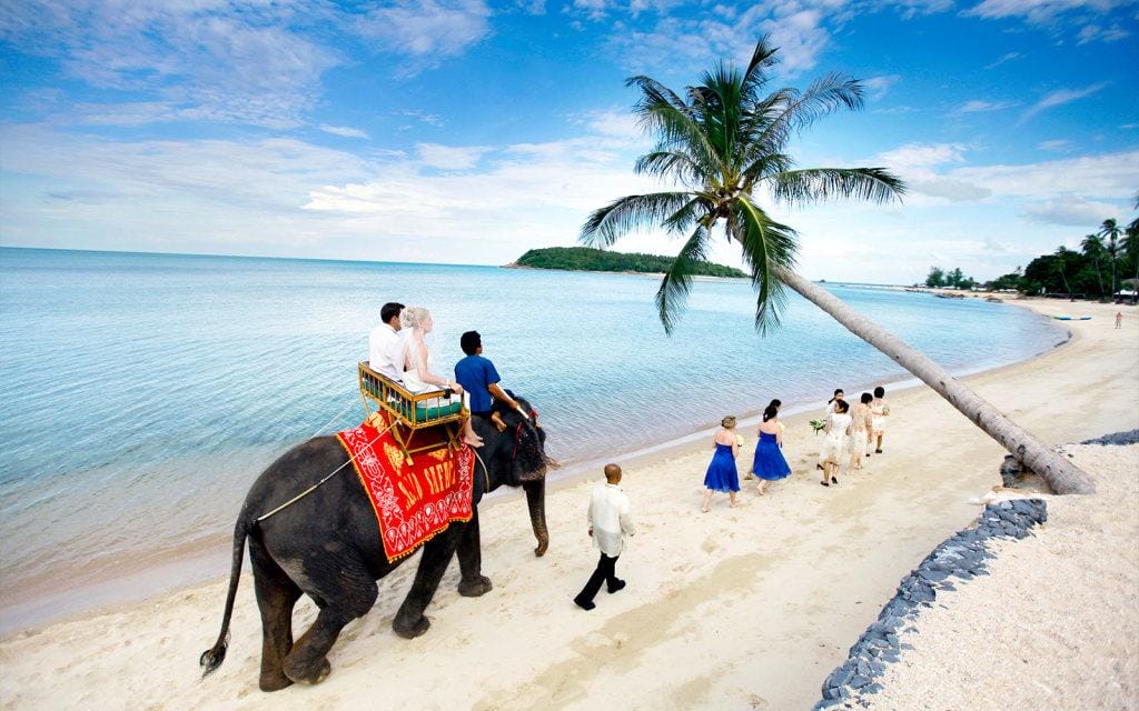 TROPICAL KOH SAMUI BEACH HOLIDAY