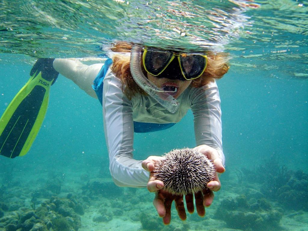 BEST KRABI SNORKELING TOUR