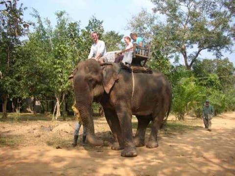 Laos Tours of Riding Elephants in Zen Nam Khan Resort - Laos elephant riding tours