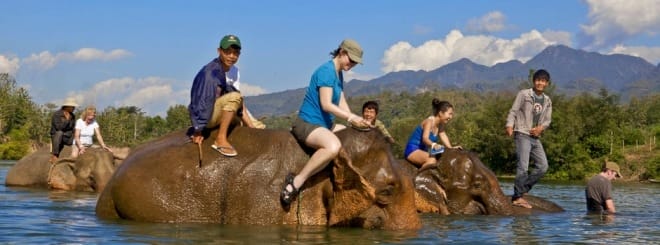 Laos Elephant Riding Package Tours at Elephant Lodge for 3 days - Laos elephant riding tours