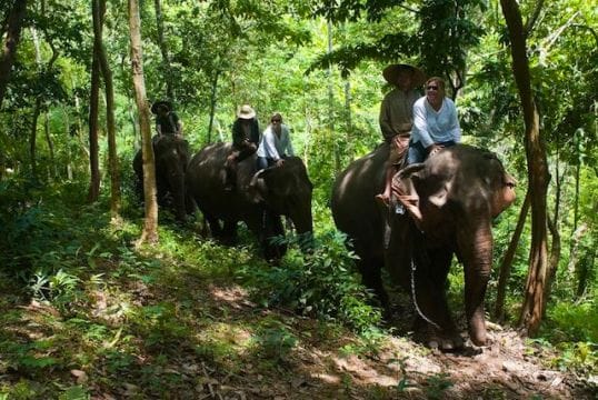 Luang Prabang Elephant Riding Tours, Luang Prabang Trips of Living with Elephants - Laos elephant riding tours