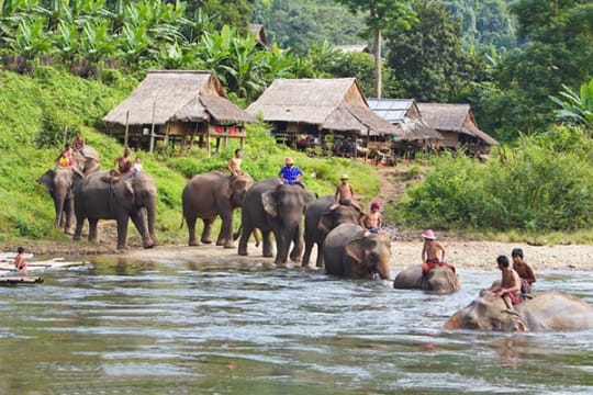 Luang Prabang Elephant Riding and Trekking Combination Tours - Laos elephant riding tours