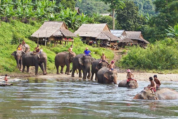 Luang Prabang Elephant Riding And Trekking Combination Tours