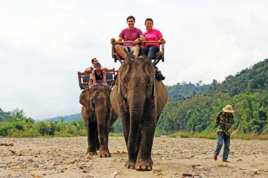 Luang Prabang Family Holidays Of Elephant Riding for Kids - Laos family tours