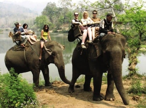 Luang Prabang Elephant Riding & Biking Adventure Tours for 1 Day - Laos elephant riding tours