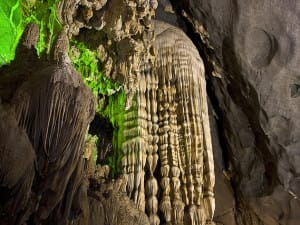 DONG HOI - PHONG NHA TOUR FOR 1 DAY