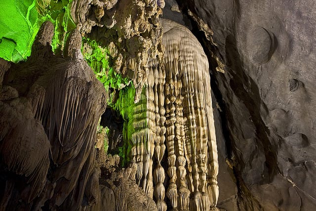 PHONG NHA SET-DEPARTURE TOUR FOR 1 DAY