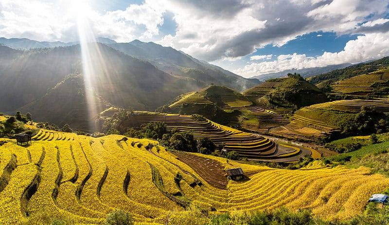 BEST SAPA TOUR OF HIKING AND HOMESTAY
