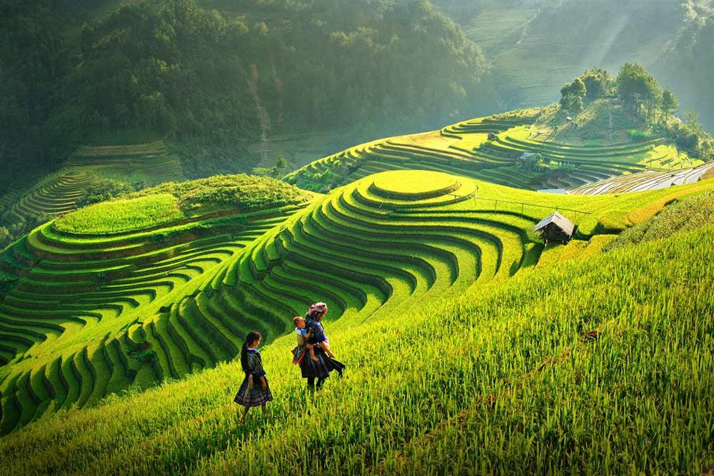 EXOTIC SAPA HONEYMOON TOUR WITH HOMESTAY AND TREKKING