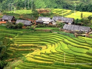 SAPA HOMESTAY TREKKING TOUR TO TA VAN AND GIANG TA CHAI