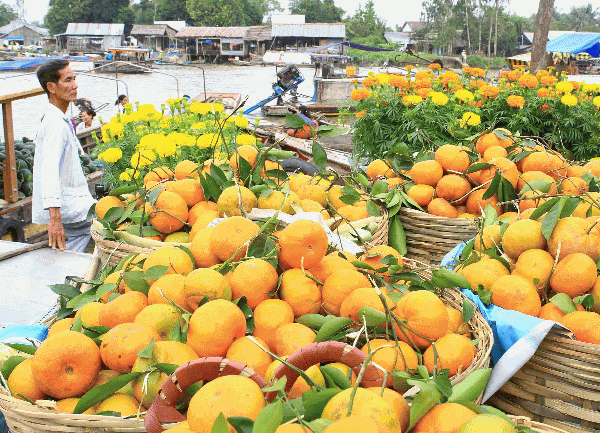 FABULOUS FAMILY TRIP FROM VIETNAM TO CAMBODIA BY BOAT