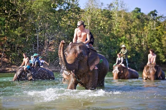 Luang Prabang elephant riding & homestay - Laos elephant riding tours