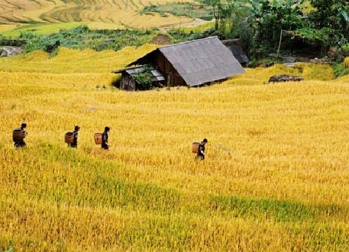 HANOI SET-DEPARTURE TOUR TO MAI CHAU FOR TREKKING