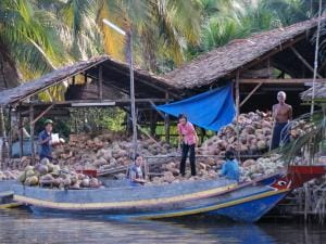 Mango Cruise Tour from My Tho to Mo Cay - Ben Tre