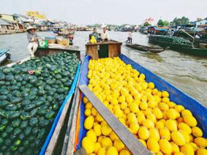 Mekong Melody Cruise Trip from Cai Be to Can Tho