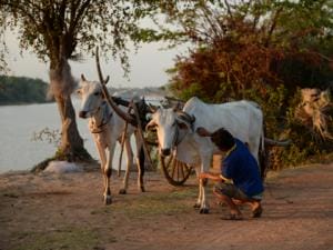 Saigon Upstream Cruise Tour to Siem Reap by RV Indochine Cruise