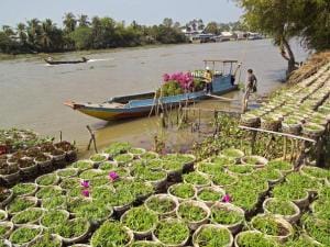 L'Amant Upstream Cruise Tour from Saigon to Phnom Penh