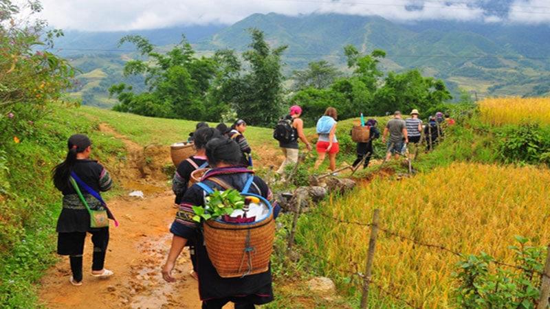 VIETNAM STUDY TOUR TO HANOI, SAPA, HALONG FOR 8 DAYS