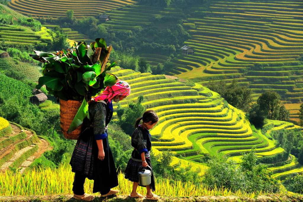 VIETNAM STUDY TOUR TO HANOI, SAPA, HALONG FOR 8 DAYS