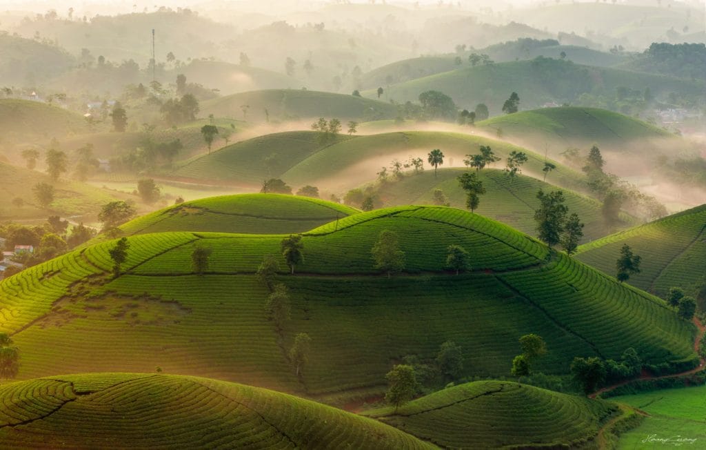 North Vietnam Photo Tour of the Terraced Rice Fields and Mountain Landscapes -10 Days