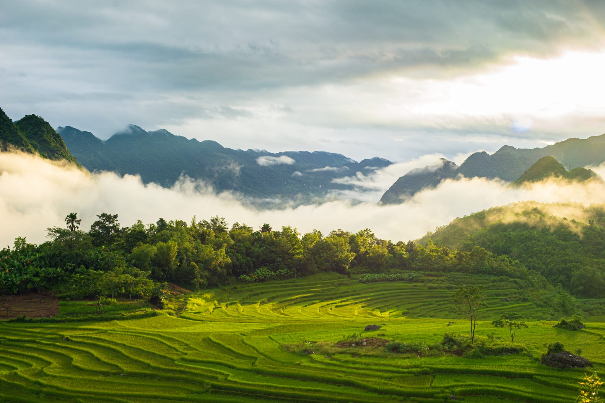 1-2 Mai Chau: The Ultimate Guide to Northern Vietnam's Hidden Gem