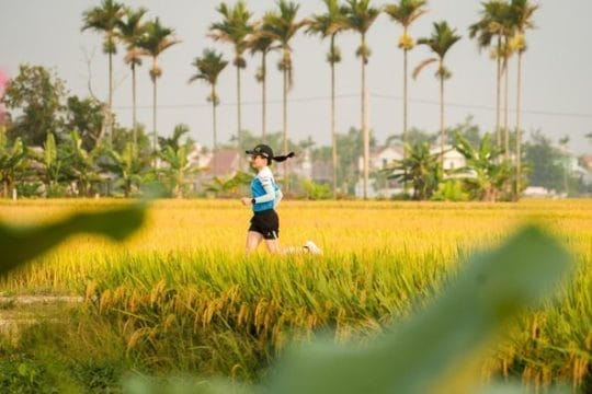 Top 10 Must-Visit Rice Terraces in Vietnam and Unforgettable Activities