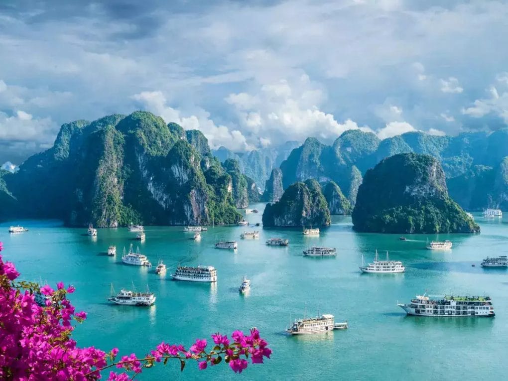 What are the essential guides for first-timers in Vietnam?