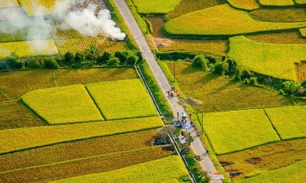 Top 10 Must-Visit Rice Terraces in Vietnam and Unforgettable Activities