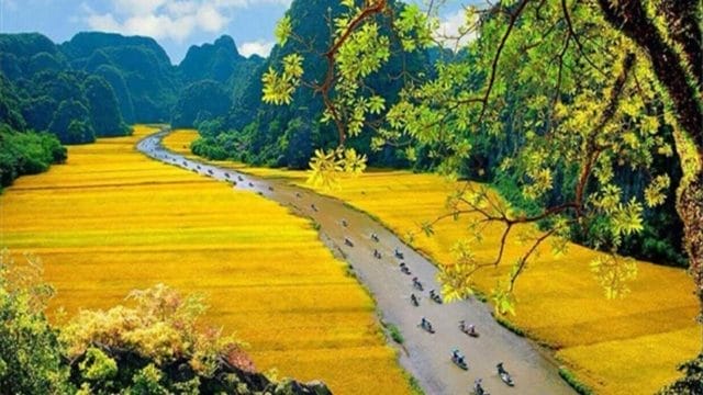 Top 10 Must-Visit Rice Terraces in Vietnam and Unforgettable Activities