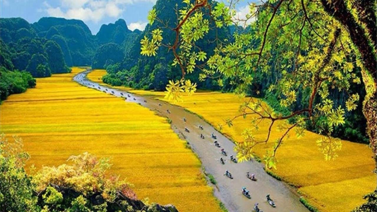 Top 10 Must-Visit Rice Terraces in Vietnam and Unforgettable Activities tam-coc-lua-chin-2 Top 10 Must-Visit Rice Terraces in Vietnam and Unforgettable Activities