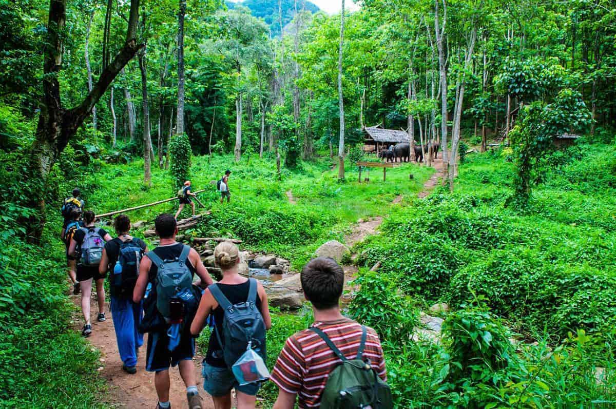 Chiang-Mai-Trekking-tour What are the Best Thailand and Laos Tours for First-Time Travelers?