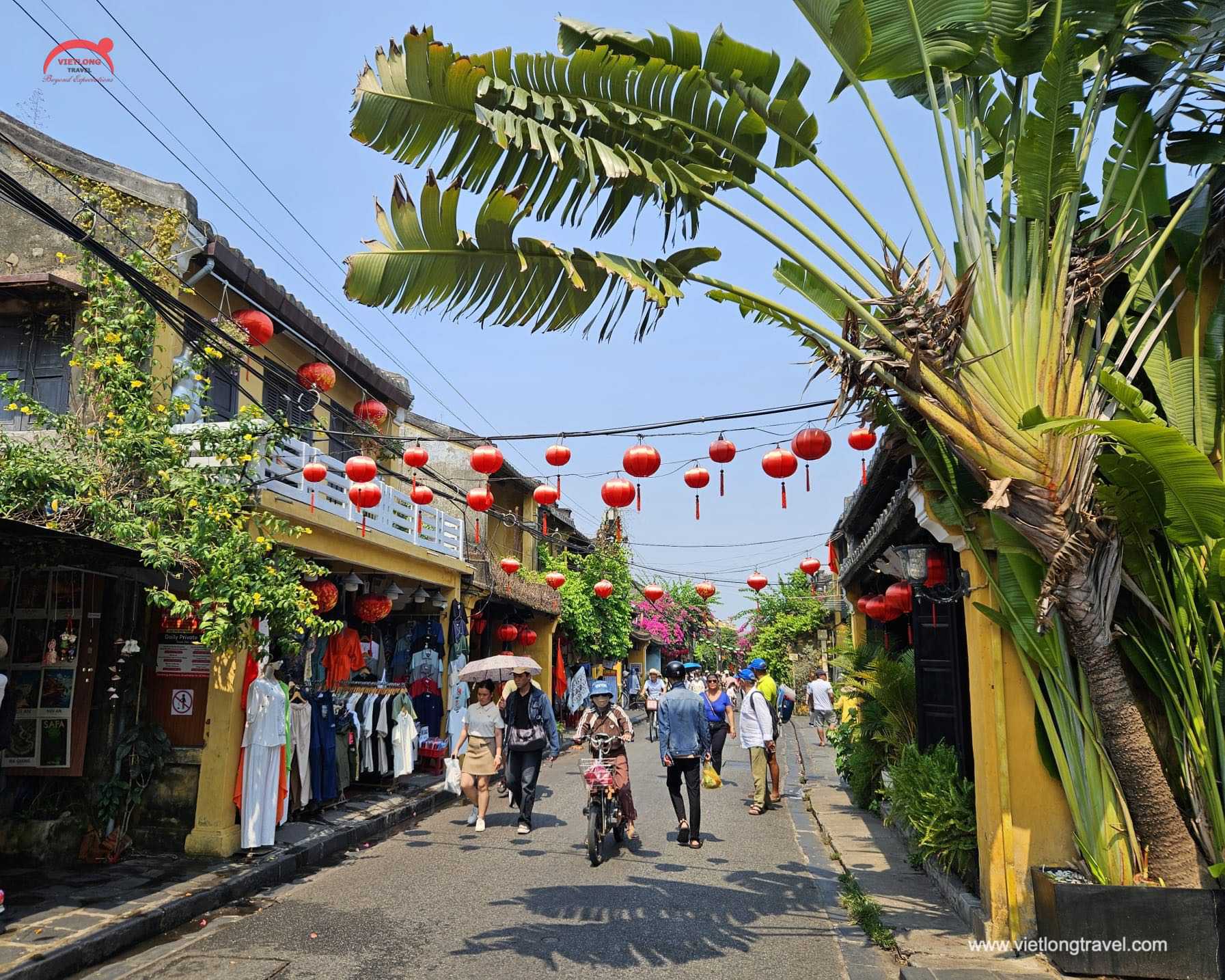 hoian-sightseeing-tour-10 Must-Visit Tet Destinations in Vietnam