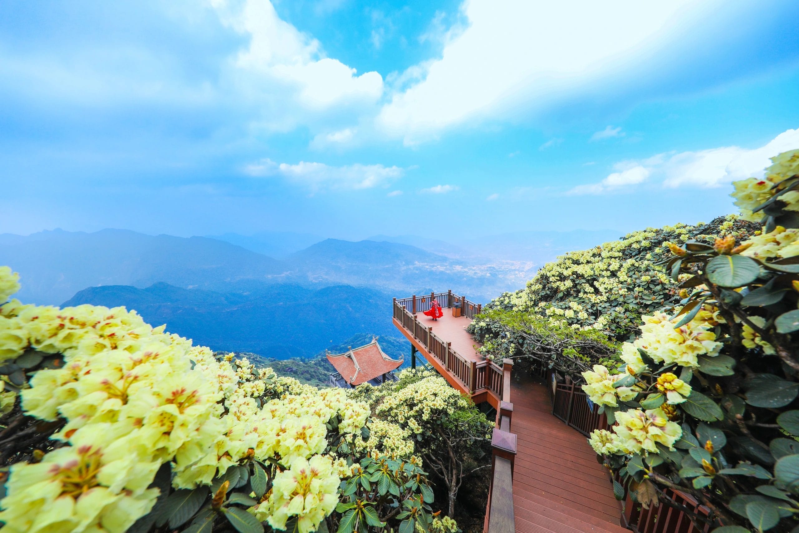 fansipan-peak-this-spring-sapa-planning-a-nature-focused-itinerary-for-spring-in-vietnam-best-destinations-tips-2 Planning a Nature-Focused Itinerary for Spring in Vietnam: Best Destinations & Tips