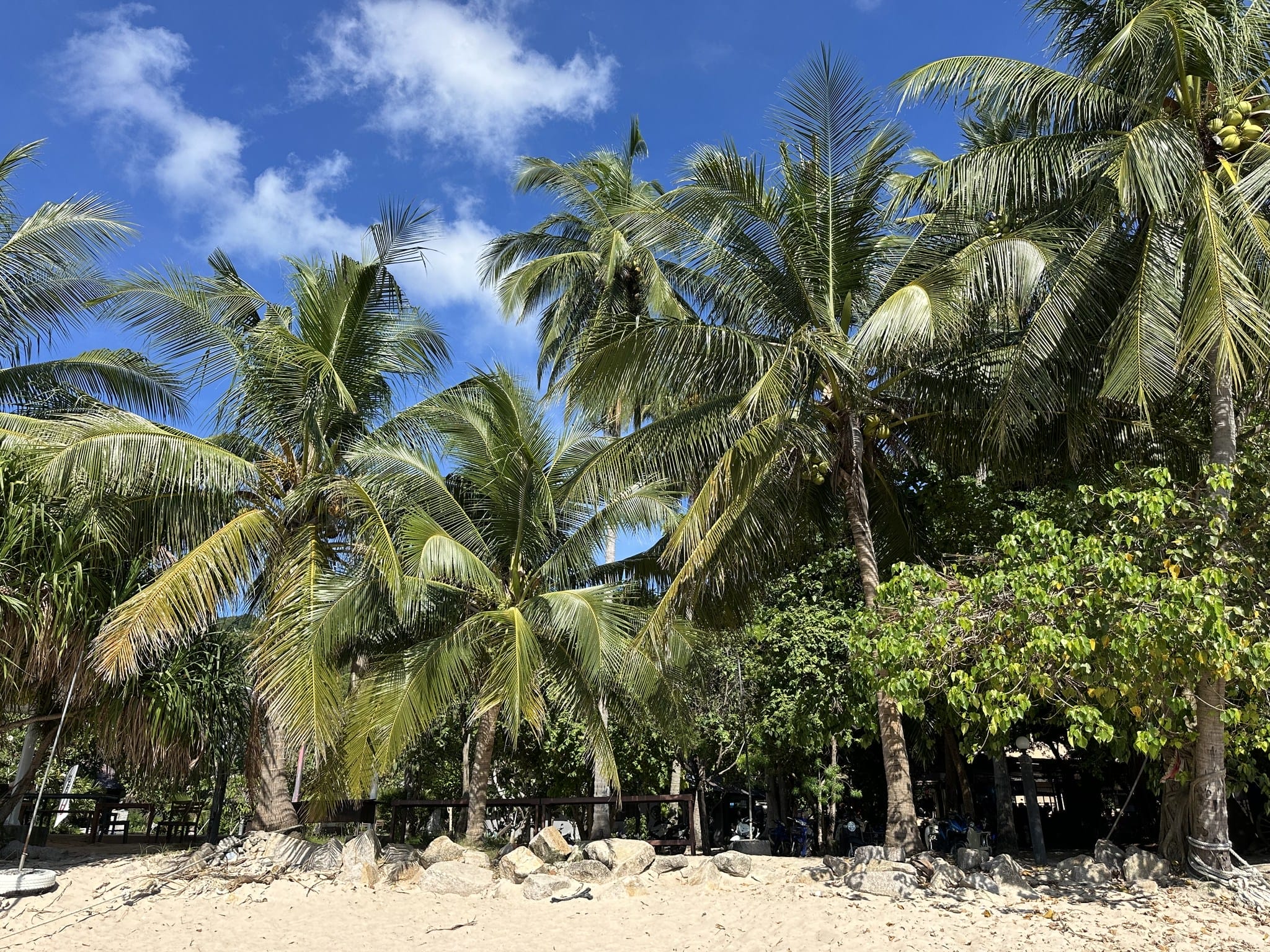 Pre-Travel Checklist for Thailand: What to Pack, Prepare & Avoid 494073060_122132514152624091_2016055522072613536_n Pre-Travel Checklist for Thailand: What to Pack, Prepare & Avoid