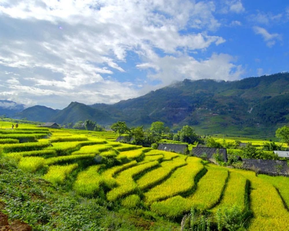Ha Giang Climate by Month: When is the Best Time to Go ? 6-1 Ha Giang Climate by Month: When is the Best Time to Go ?