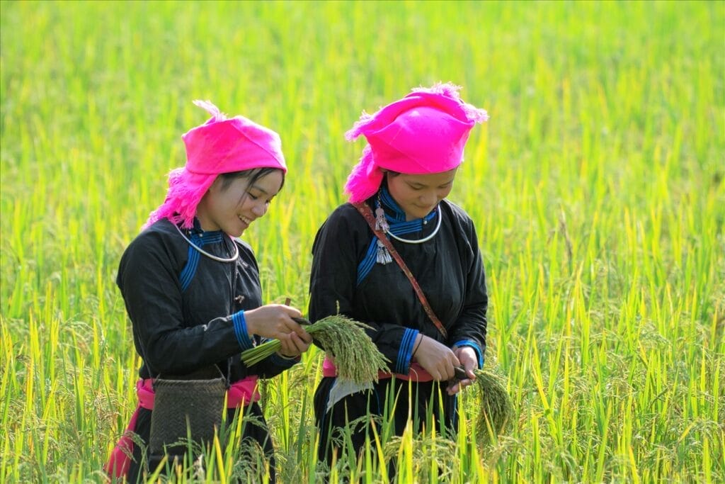 8-2-1024x683 Bac Ha Hidden Treasures: Beyond the Famous Market