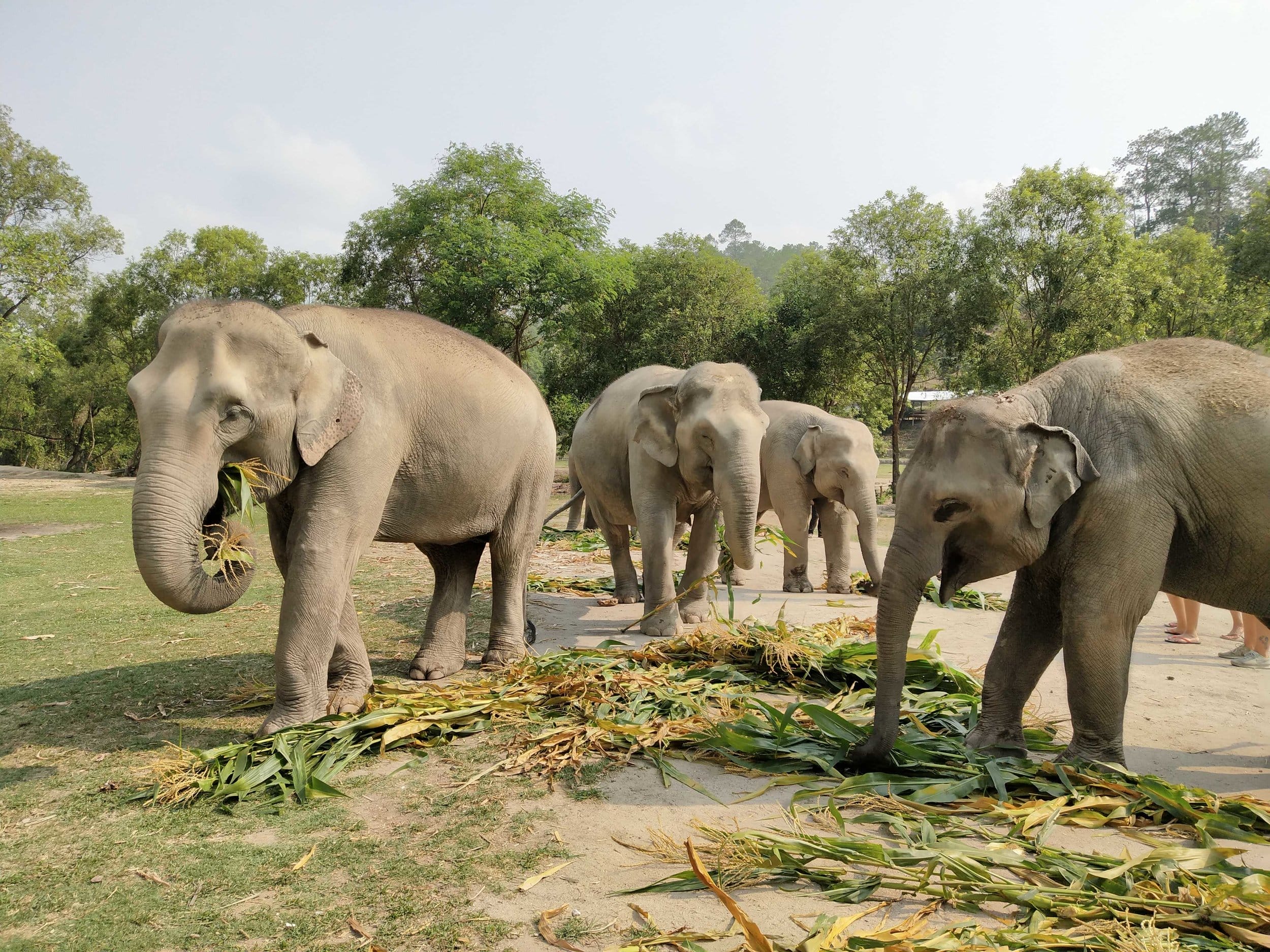 Thailand Beyond the Beaches: Mountain Adventures in the North ChiangMaitravelguide17 Thailand Beyond the Beaches: Mountain Adventures in the North